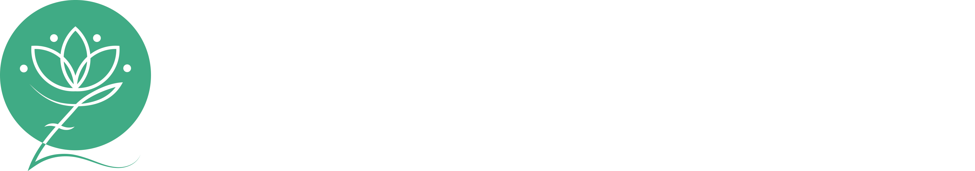 My WordPress